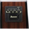 Ibanez AEGB25E-TKH Akustikbass Thumbnail 6