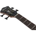 Ibanez AEGB25E-TKH Akustikbass Thumbnail 7