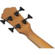 Ibanez AEGB25E-TKH Akustikbass Thumbnail 8