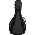 Ritter Davos  RI-RGD2-MO-ANT Mandola Gigbag Thumbnail 2