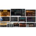 Steinberg Absolute 6 Collection  DAC - Lizenz Code Thumbnail 2