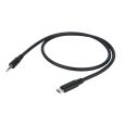DAP Audio Adapter USB C Klinke 3,5 Stereo 0,75m Thumbnail 1