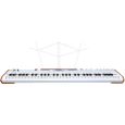 Arturia AstroLab 88 Thumbnail 6