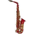 Roy Benson Eb-Alt Saxophon AS-202R Thumbnail 1