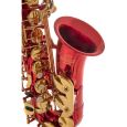Roy Benson Eb-Alt Saxophon AS-202R Thumbnail 2