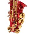 Roy Benson Eb-Alt Saxophon AS-202R Thumbnail 3