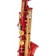 Roy Benson Eb-Alt Saxophon AS-202R Thumbnail 4