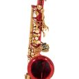 Roy Benson Eb-Alt Saxophon AS-202R Thumbnail 5