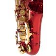 Roy Benson Eb-Alt Saxophon AS-202R Thumbnail 6