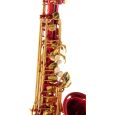 Roy Benson Eb-Alt Saxophon AS-202R Thumbnail 7