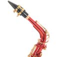 Roy Benson Eb-Alt Saxophon AS-202R Thumbnail 8
