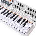 Arturia MiniFreak Vocoder Synthesizer Thumbnail 11