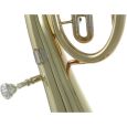 Roy Benson Bb-Tenorhorn TH-201 Thumbnail 8