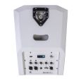 HK Audio Polar 12 MK2 WH Thumbnail 13