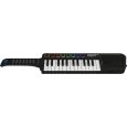 Midiplus Band Thumbnail 2