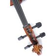 Gewa Allegro VC-1 3/4 Cello spielfertig 2 inkl. Tasche, Bogen (Massaranduba) Thumbnail 9