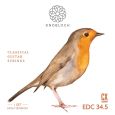Knobloch Strings EDC34.5 Erithacus Line CX HT Saitensatz Konzertgitarre Thumbnail 1