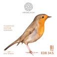 Knobloch Strings EDB34.5 Erithacus Line BIO HT Saitensatz Konzertgitarre Thumbnail 1