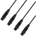 Adam Hall 4 STAR CATBOX XF3 Audio & DMX Multicore 4 XLR 3-Pol Female x Cat.6a Thumbnail 2