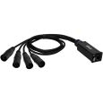 Adam Hall 4 STAR CATBOX XM5 Audio & DMX Multicore 4 XLR 5-Pol Male x Cat.6a Thumbnail 1