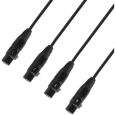 Adam Hall 4 STAR CATBOX XF5 Audio & DMX Multicore 4 XLR 5-Pol Female x Cat.6a Thumbnail 2
