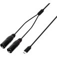 Adam Hall 3 STAR Y MM USB-C 0150 USB-C Y-Kabel 2 x XLR Male x USB-C 1,5m Thumbnail 1