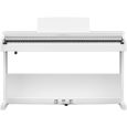 Kawai CX102W Weiß Digitalpiano Thumbnail 2