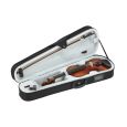 GEWA Violine LTD 100 Jahre GEWA Set 4/4 Thumbnail 2