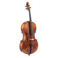 GEWA Cello LTD 100 Jahre GEWA Set 4/4 Thumbnail 2