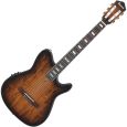 Ibanez RG FRH Nylon-Saiten-Gitarre 6-String - Tobacco Burst Low Gloss Thumbnail 1