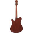 Ibanez RG FRH Nylon-Saiten-Gitarre 6-String - Tobacco Burst Low Gloss Thumbnail 2