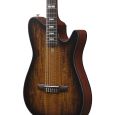 Ibanez RG FRH Nylon-Saiten-Gitarre 6-String - Tobacco Burst Low Gloss Thumbnail 3