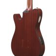 Ibanez RG FRH Nylon-Saiten-Gitarre 6-String - Tobacco Burst Low Gloss Thumbnail 4