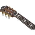 Ibanez RG FRH Nylon-Saiten-Gitarre 6-String - Tobacco Burst Low Gloss Thumbnail 5