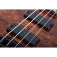 Schecter C-4 Standard Tobacco Burl E-Bassgitarre Thumbnail 5