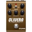 Strymon Olivera Vintage Oil Can Echo Thumbnail 1