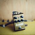 Strymon Olivera Vintage Oil Can Echo Thumbnail 6