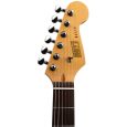 Henry's Snake ST-1 Mamba Black Relic E-Gitarre Thumbnail 5