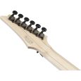Ibanez RG653DX-TDF Transparent Deep Blue Flat E-Gitarre inkl. Koffer Thumbnail 9