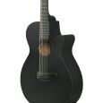Ibanez AEG1221-BOT Black Out 12-String Westerngitarre Thumbnail 6