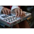 Akai Professional MPK mini MK4 Grey B-Ware Thumbnail 4