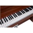 Henry's Amber DPA100 Dark Wood Natural Digitalpiano Thumbnail 6