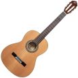 Ortega R20GSNRG 4/4 Konzertgitarre inkl. Gigbag Thumbnail 1