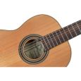 Ortega R20GSNRG 4/4 Konzertgitarre inkl. Gigbag Thumbnail 6