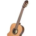 Ortega R20GSNWN 4/4 Konzertgitarre inkl. Gigbag Thumbnail 3