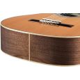 Ortega R20GSNWN 4/4 Konzertgitarre inkl. Gigbag Thumbnail 9