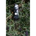 Meinl Sonic Energy Thunder Drum klein Effektinstrument Donner Klang Thumbnail 7