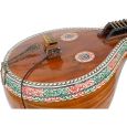 KNA Pickups VPP-2 Tonabnehmer Indian Veena m. Lautstärkeregler Thumbnail 3