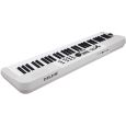 NUX NEK-110 Keyboard Thumbnail 6