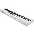 NUX NEK-110 Keyboard Thumbnail 7